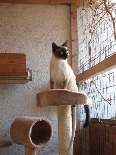 Bobby von der Isseaue